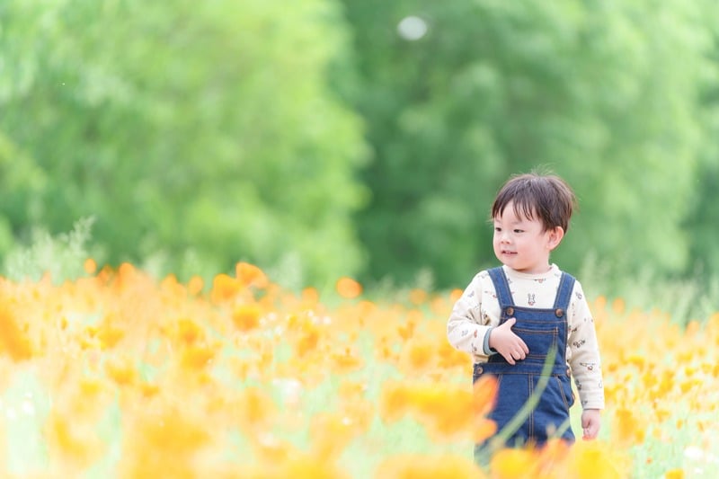 公園での家族写真・季節フォト出張撮影の作例5