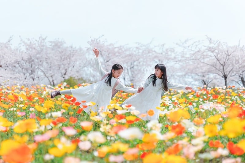 公園での家族写真・季節フォト出張撮影の作例9